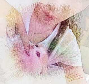 梦见猫咬手指　周公解梦之梦到猫咬手指