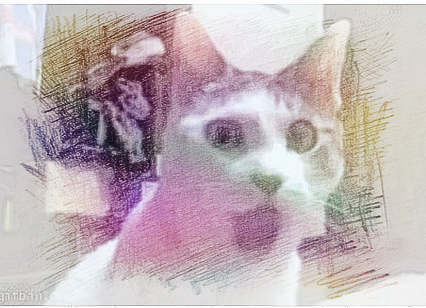 梦见吃了耳屎　周公解梦之梦到吃了耳屎