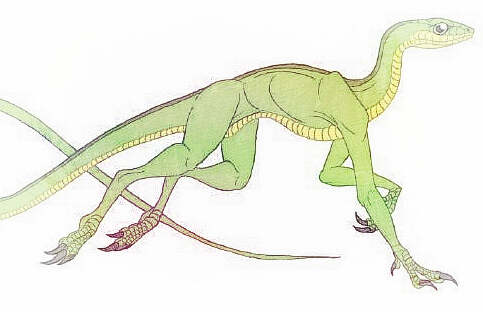 梦见蛇长脚　周公解梦之梦到蛇长脚