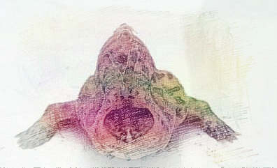 梦见鱼长脚　周公解梦之梦到鱼长脚