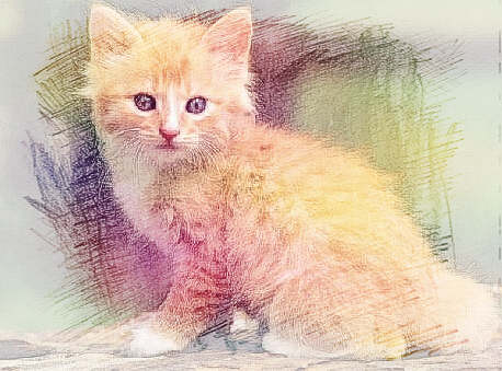 梦见猫咬腿　周公解梦之梦到猫咬腿