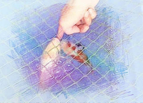 梦见鱼咬手指　周公解梦之梦到鱼咬手指