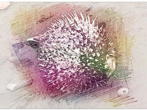 梦见身体长刺　周公解梦之梦到身体长刺