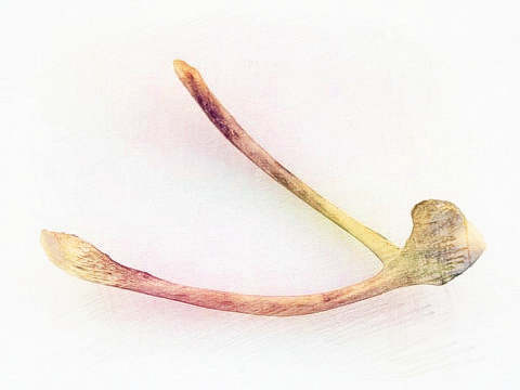 梦见骨头脆弱　周公解梦之梦到骨头脆弱