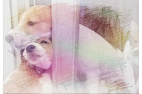 梦见头部被夹　周公解梦之梦到头部被夹