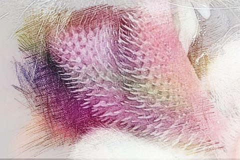 梦见舌头有毛　周公解梦之梦到舌头有毛