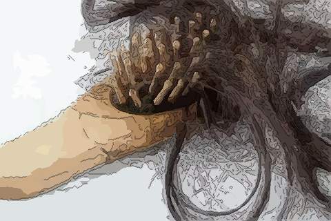 梦见掉发严重　周公解梦之梦到掉发严重