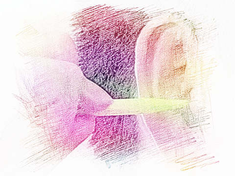 梦见挖耳屎　周公解梦之梦到挖耳屎