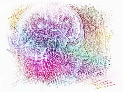 梦见脑袋　周公解梦之梦到脑袋