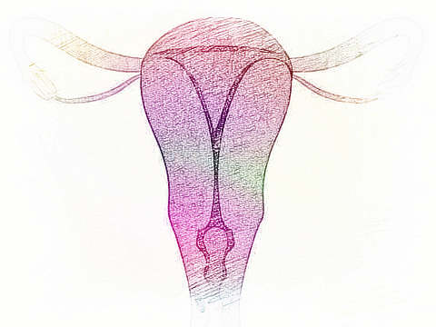 梦见阴部 阳具　周公解梦之梦到阴部 阳具