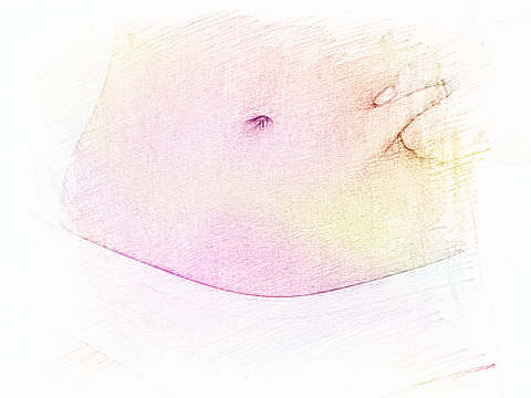 梦见肚子 肚皮　周公解梦之梦到肚子 肚皮