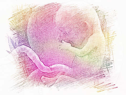 梦见胎儿　周公解梦之梦到胎儿