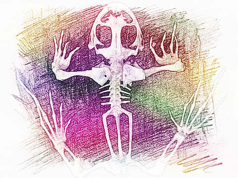 梦见骨骼 骨头　周公解梦之梦到骨骼 骨头