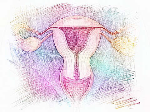 梦见子宫　周公解梦之梦到子宫