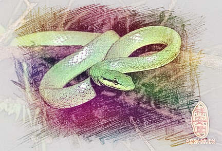 梦见蛇咬亲人　周公解梦之梦到蛇咬亲人