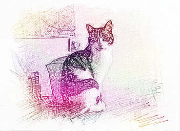 梦见膀胱　周公解梦之梦到膀胱