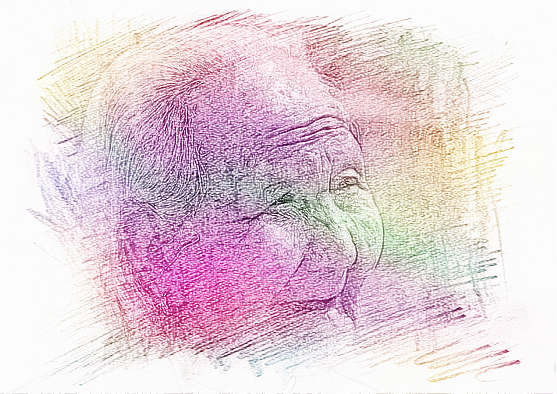 梦见陌生老荀　周公解梦之梦到陌生老荀