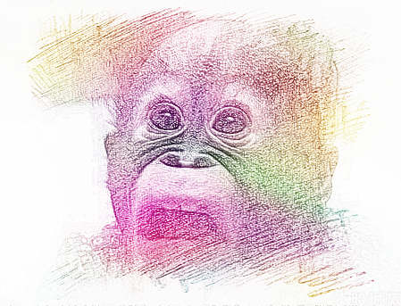 梦见白痴、傻子　周公解梦之梦到白痴、傻子