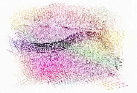 梦见父亲杀蛇　周公解梦之梦到父亲杀蛇