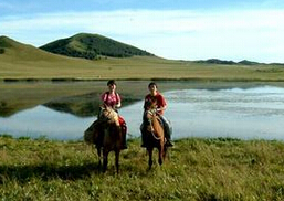 梦见情人来看我