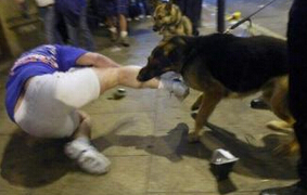 梦见老公被狗咬了