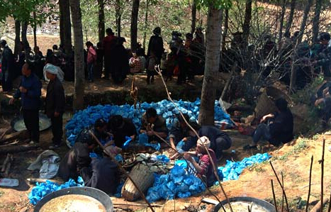 梦见死了的人活了