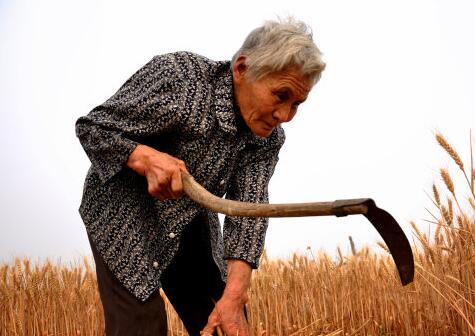 梦到家里老人生病