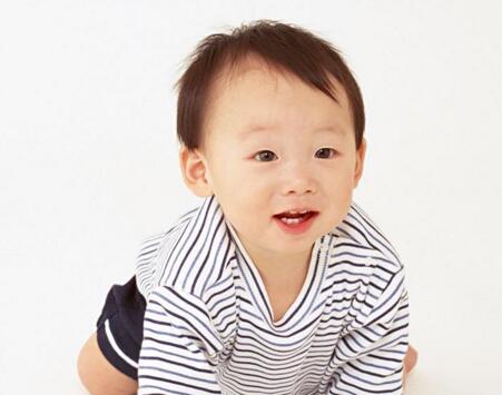 梦见孩子被猫咬