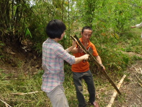 梦见别人砍竹子