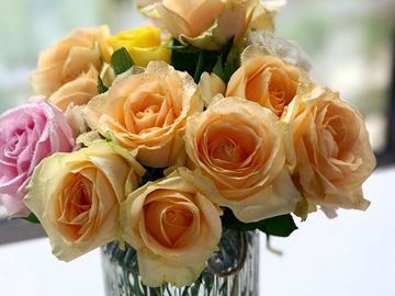 孕妇梦见自己杀猪