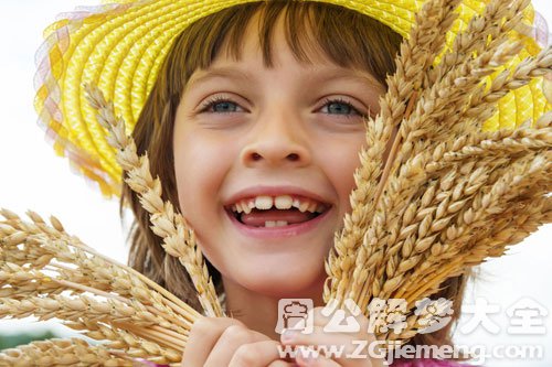 【梦见拾麦穗的人】