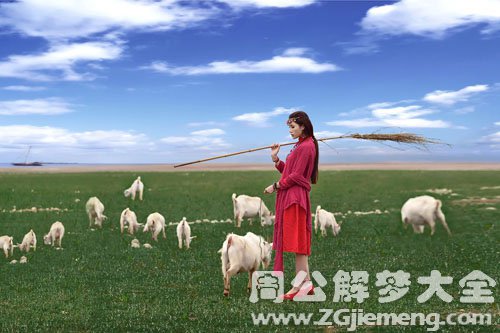 【梦见牧羊人】