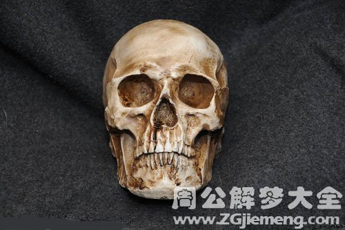 【梦见头骨】