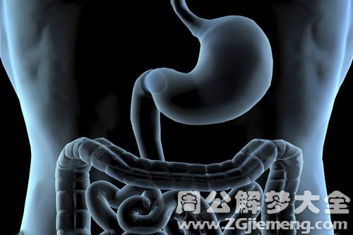 【梦见肠胃】