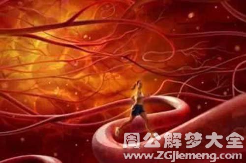 【梦见动脉】