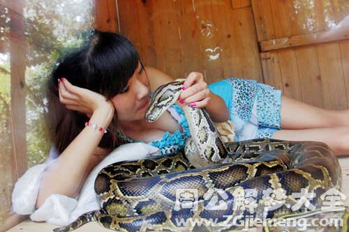 【已婚女人梦见蛇】
