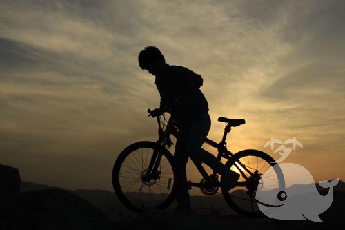 【梦见初中男同学】