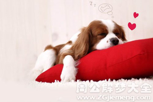 【梦见释梦者】